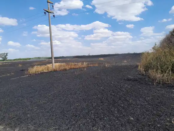 Por una descarga eléctrica: un incendio afectó 10 hectáreas de trigo en zona rural de la región