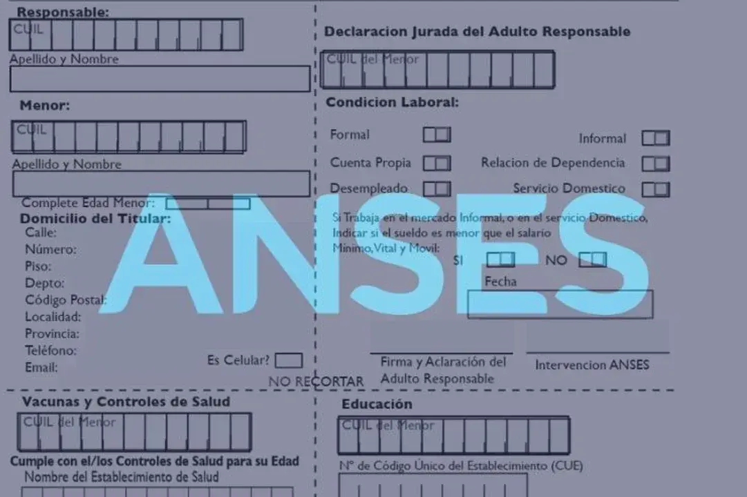 Hasta el 31 de diciembre hay tiempo para completar y entregar la Libreta AUH 202