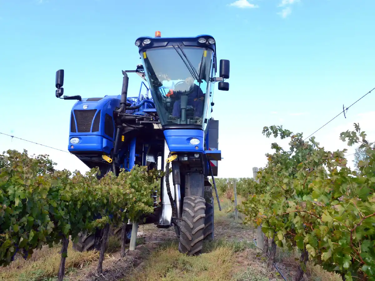 Con el impulso del "dólar soja", la agroindustria ya liquidó divisas por casi US$ 34.000 millones en lo que va del año