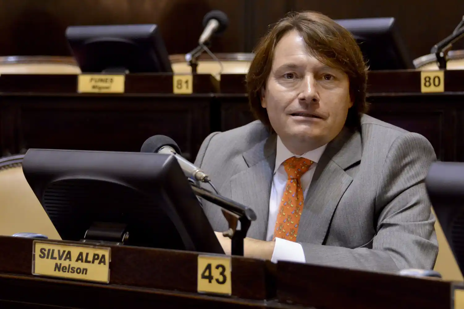 imagen Nelson Silva Alpa