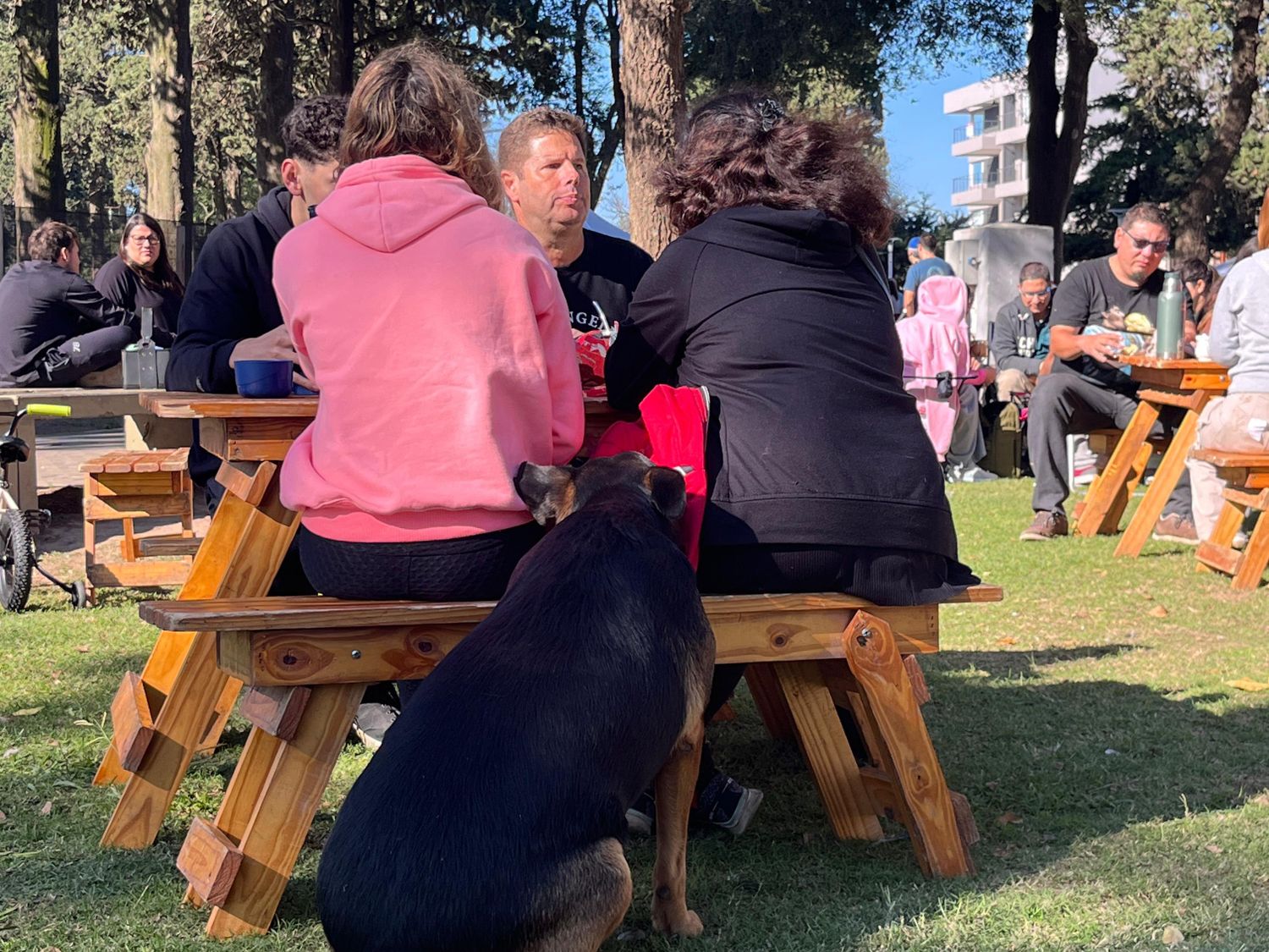Venite al Parque - 4