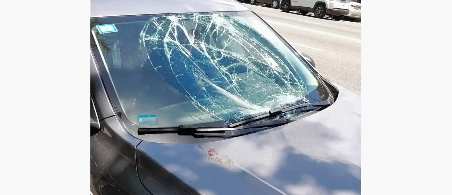 Así quedó el parabrisas de uno de los autos dañados por este temerario sujeto.