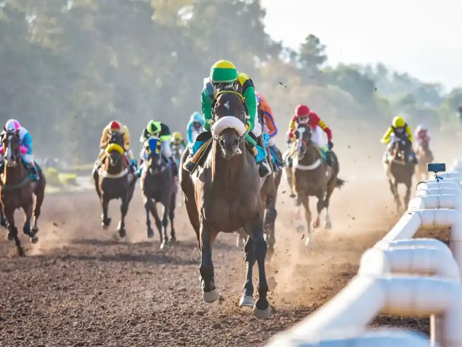 Martes 31/10: Actividad Hipódromo de La Plata
