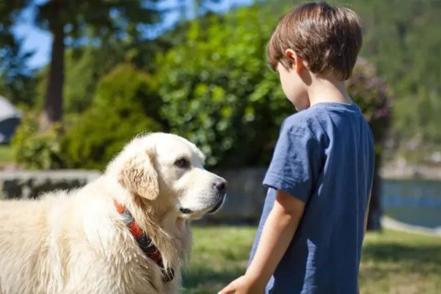 Autismo: Entendiendo cómo ellos nos ven, sabremos cómo ayudarlos