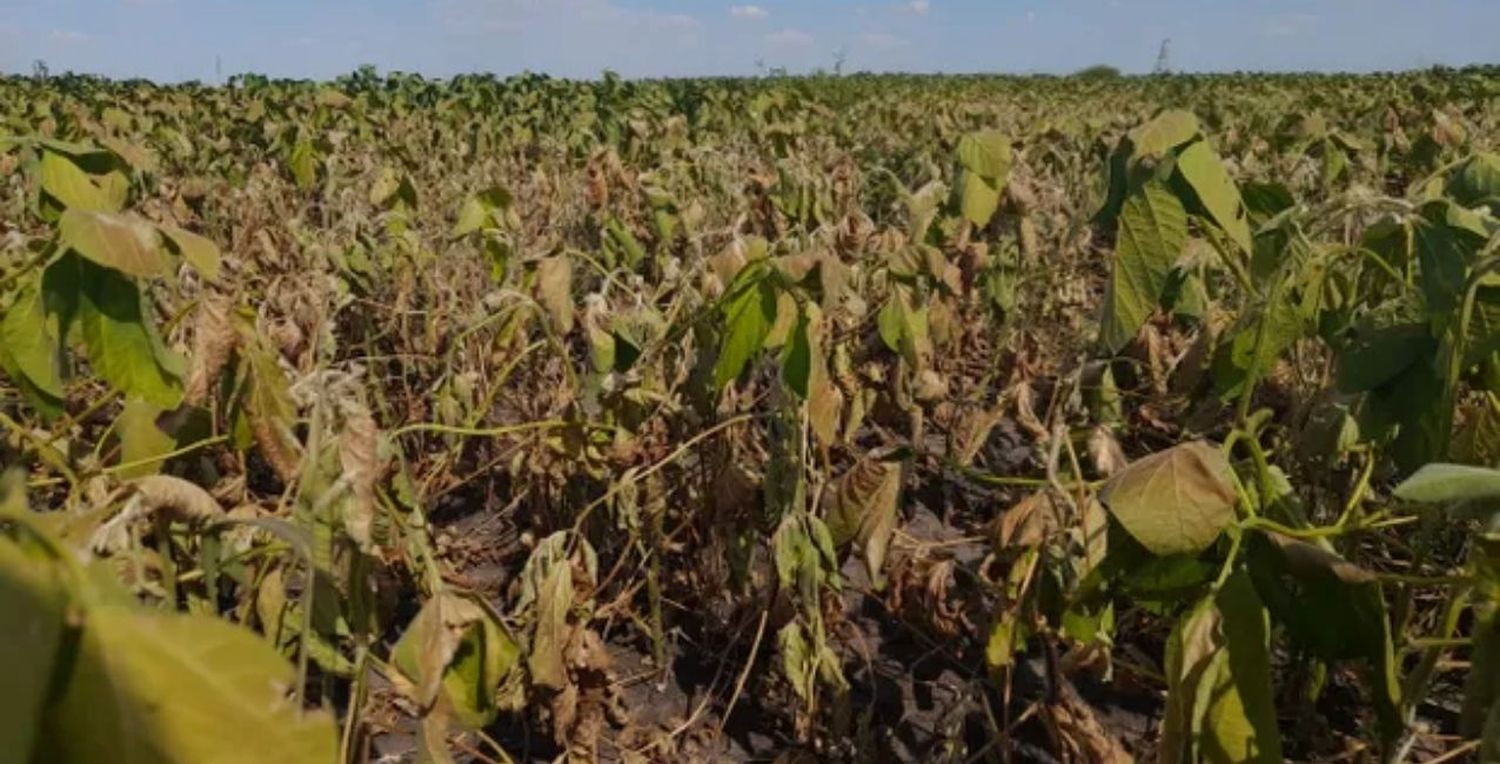 Santa Fe participó de la reunión del Consejo Federal Agropecuario