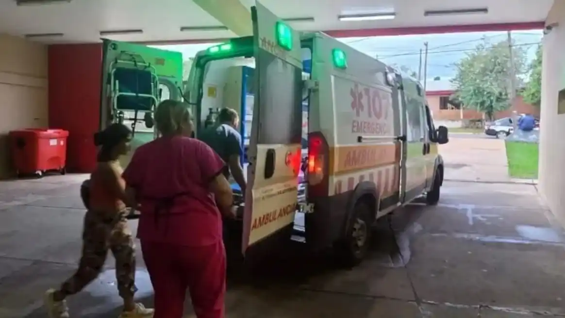 En Misiones un niño de 7 años fue atacado por siete perros y permanece internado