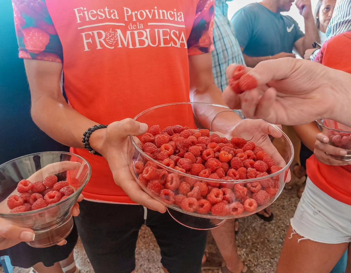 Comienza la Fiesta Provincial de la Frambuesa