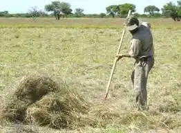 Acuerdan políticas públicas para el sector agrario