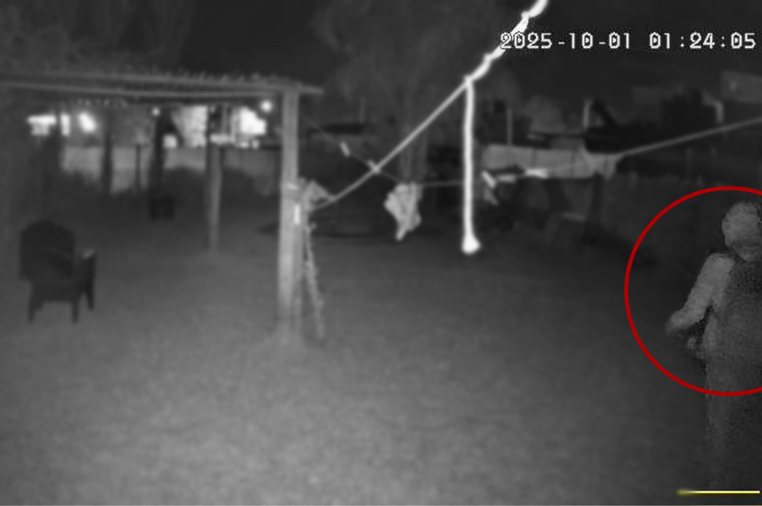 Quedó grabado cuando entró a robar al patio de una casa: se llevó la ropa sin lavar