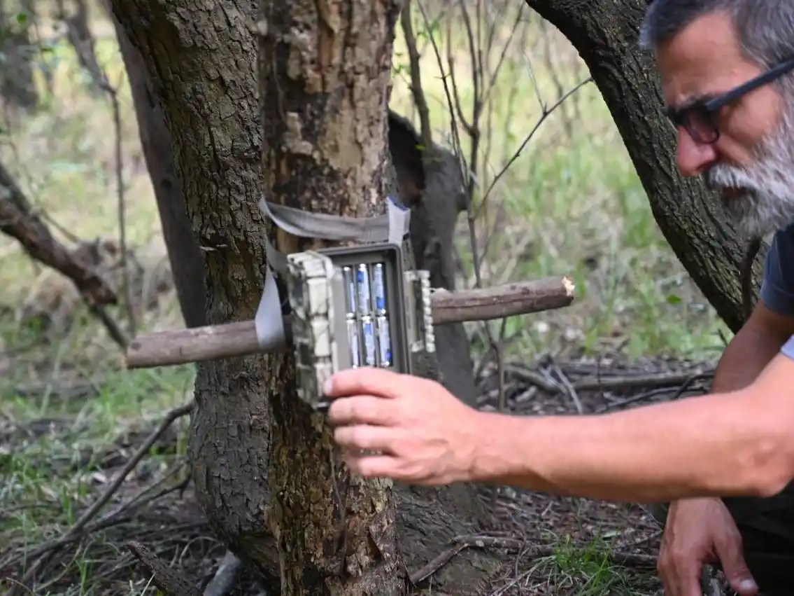 Incorporaron cámaras trampa en la Reserva Natural "Las Piedras" para estudiar y proteger la fauna silvestre