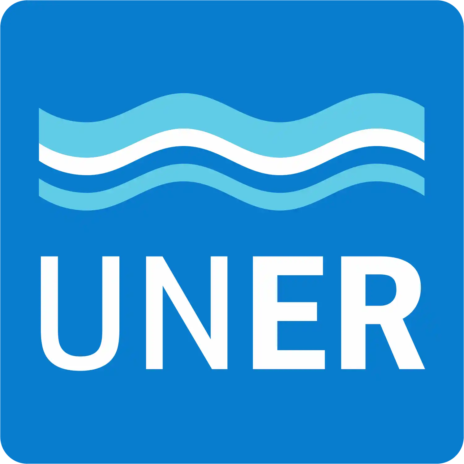 La UNER cayó cien puestos en un ranking sobre universidades