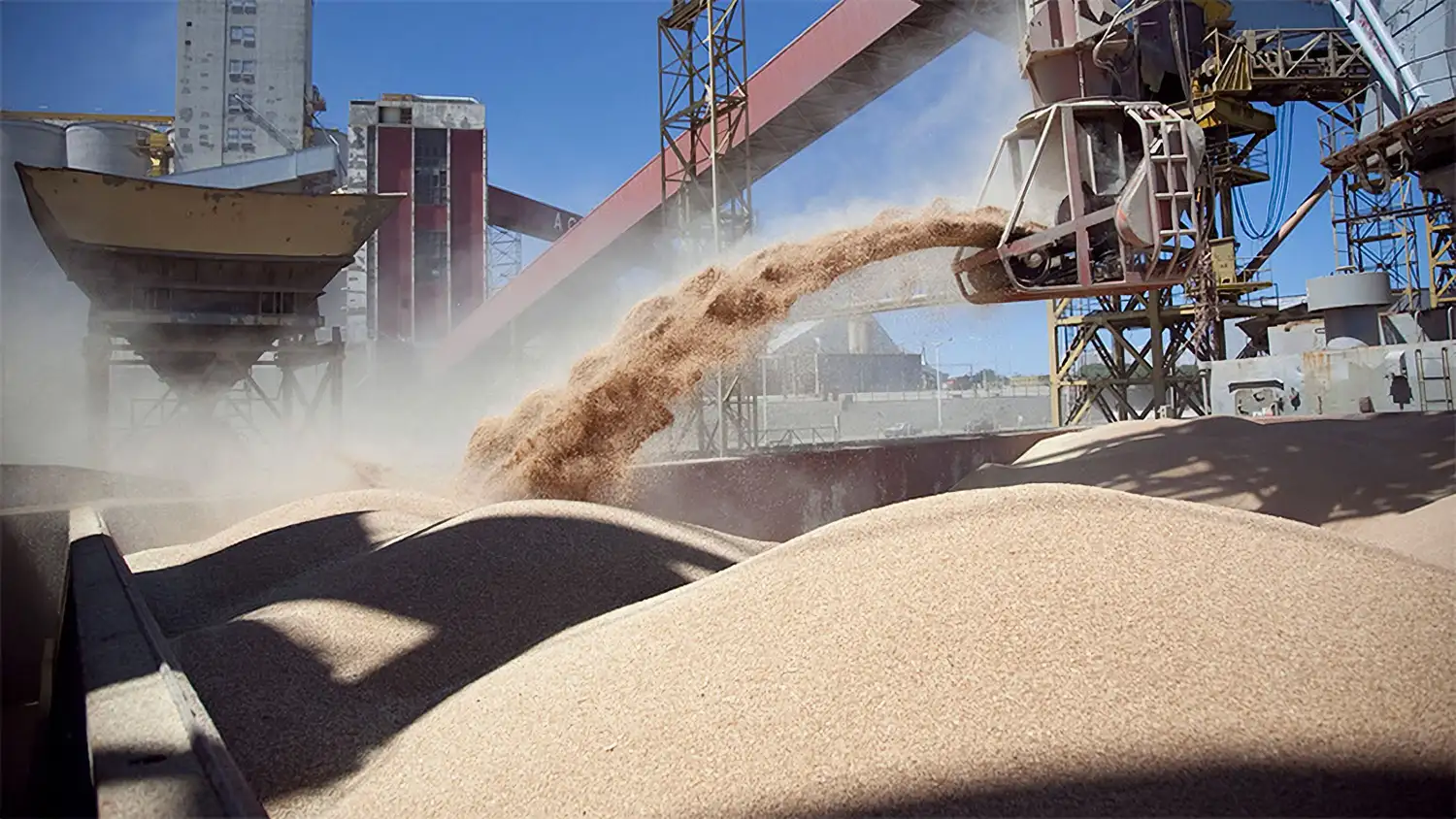 Crece el peso de los principales complejos agro en las exportaciones