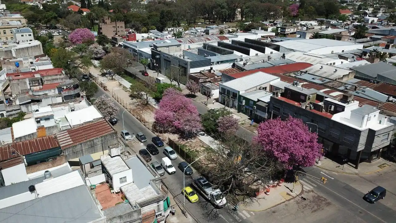 La ciudad supera su meta anual de arbolado público