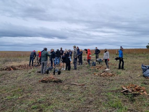 Plantación de árboles en comunidad: un impulso a la permacultura