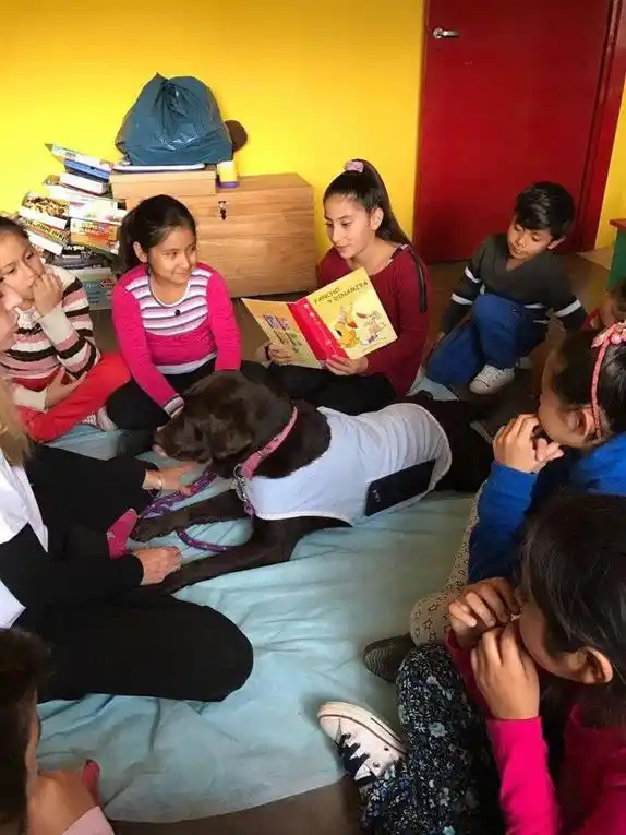 Perros: Mejores oyentes para los chicos que aprenden a leer