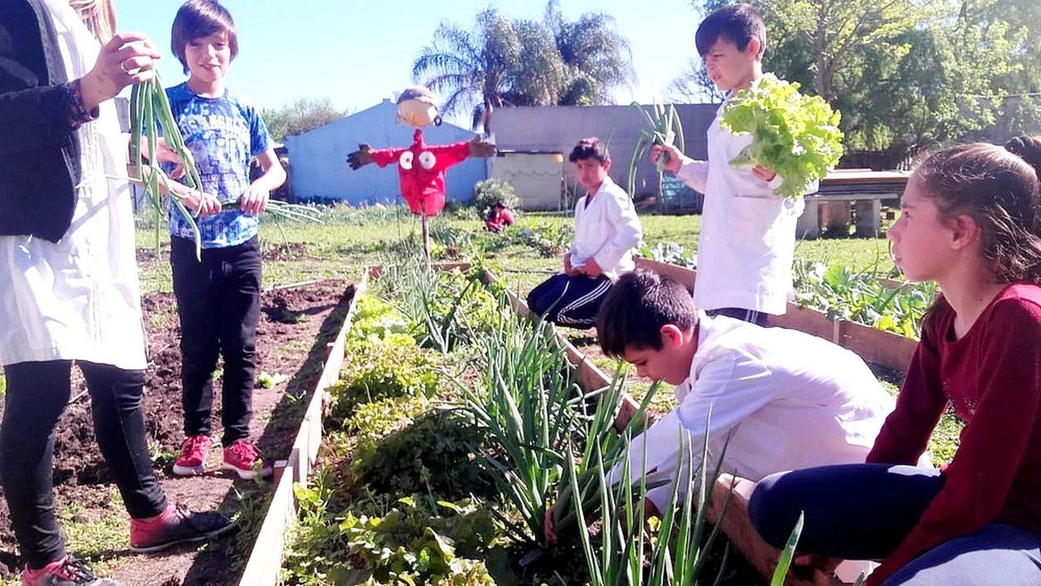 Se realizará el cierre anual del programa red de escuelas sustentables