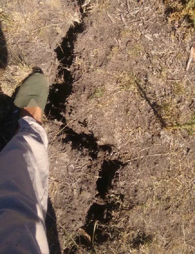 Coninagro pide que se acelere la entrega de fondos a productores afectados por la sequía
