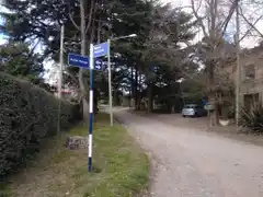 Alarmante aumento de la cifra: son 19 los perros que murieron por envenenamiento