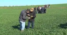 “Una de las campañas más complicadas de los últimos años”