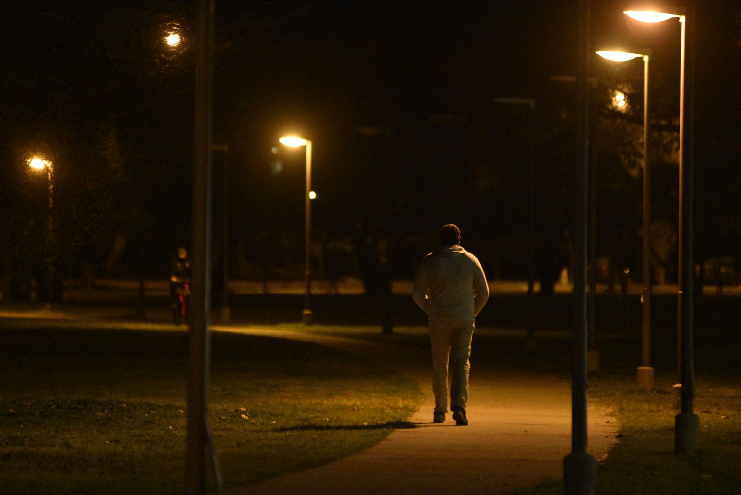 Reparan luminarias en el Parque Federal, pero siguen los problemas