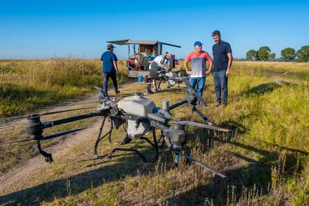 Están encargados de la aplicación directa del producto sobre el agua.