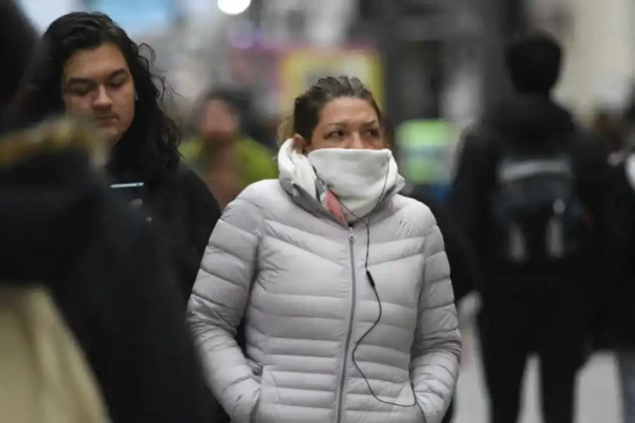 El cerebro juega un papel crucial en la regulación de la temperatura corporal. Crédito: Pablo Aguirre.