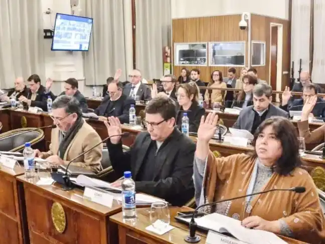 El Senado abordará el proyecto de ley que equipara el régimen de licencias por adopción con el que rige por nacimiento