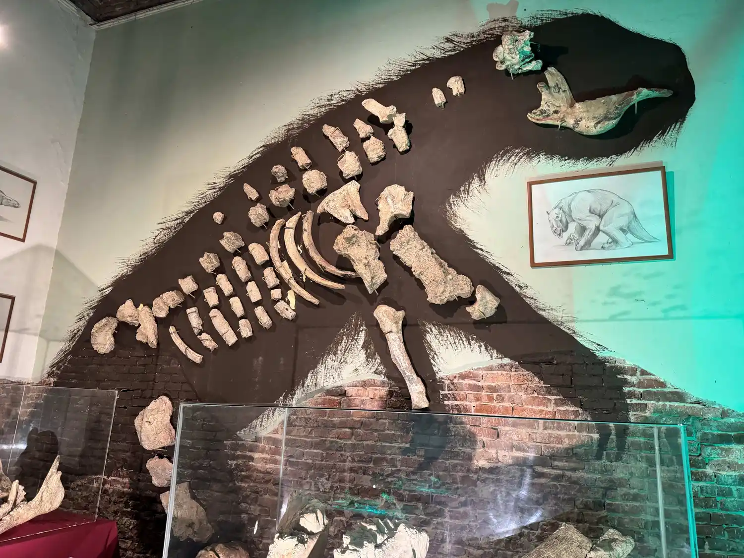 Uno de los ejemplares expuesto en el Museo Paleontológico.