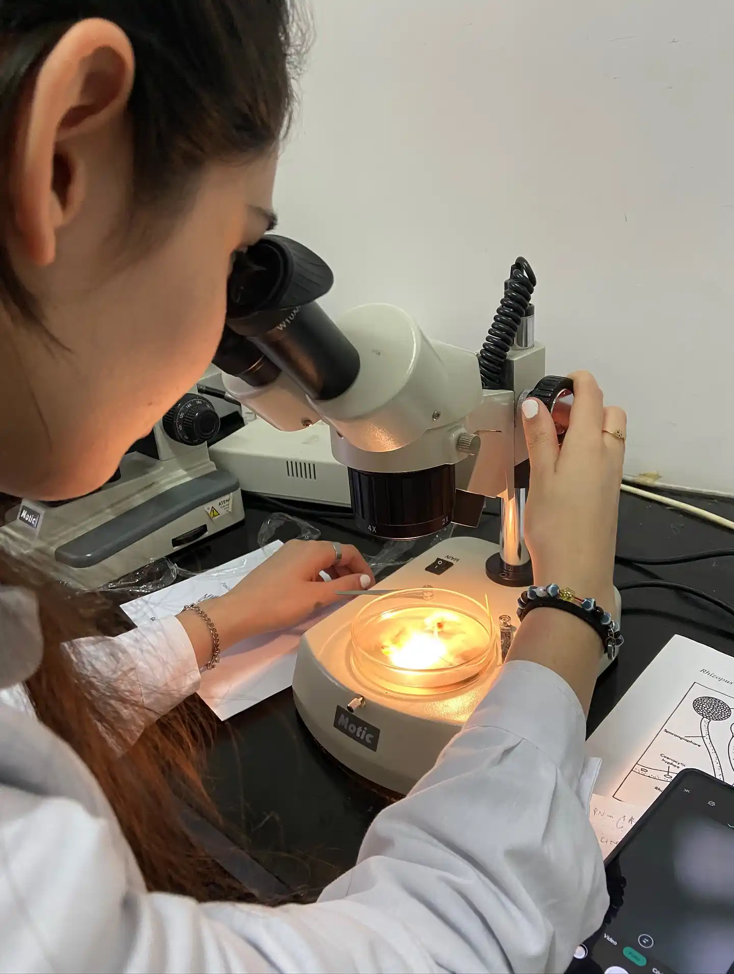 INTECH, en alerta: preocupación en Chascomús por el futuro de la ciencia
