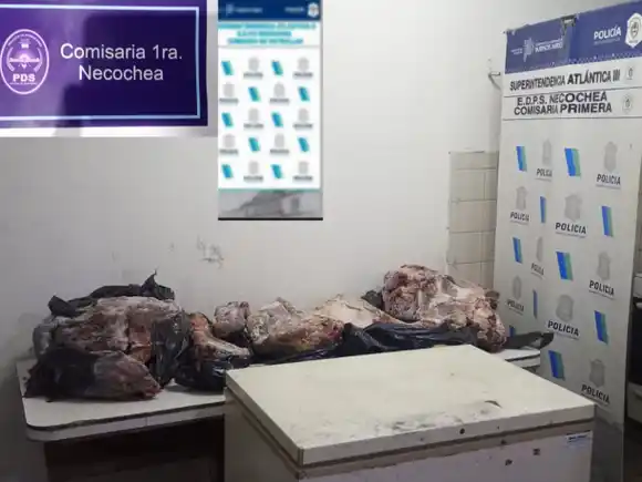 Lo vieron bajando carne en la casa y, al entrar, la policía encontró dos autos robados