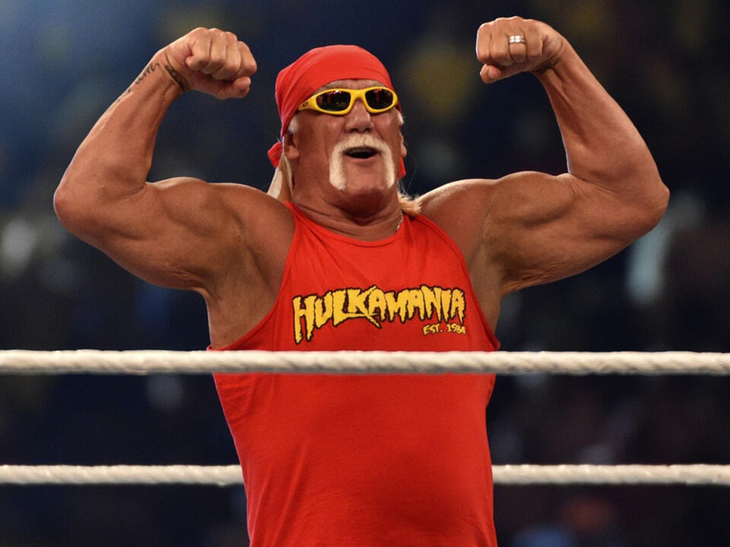 Hulk Hogan