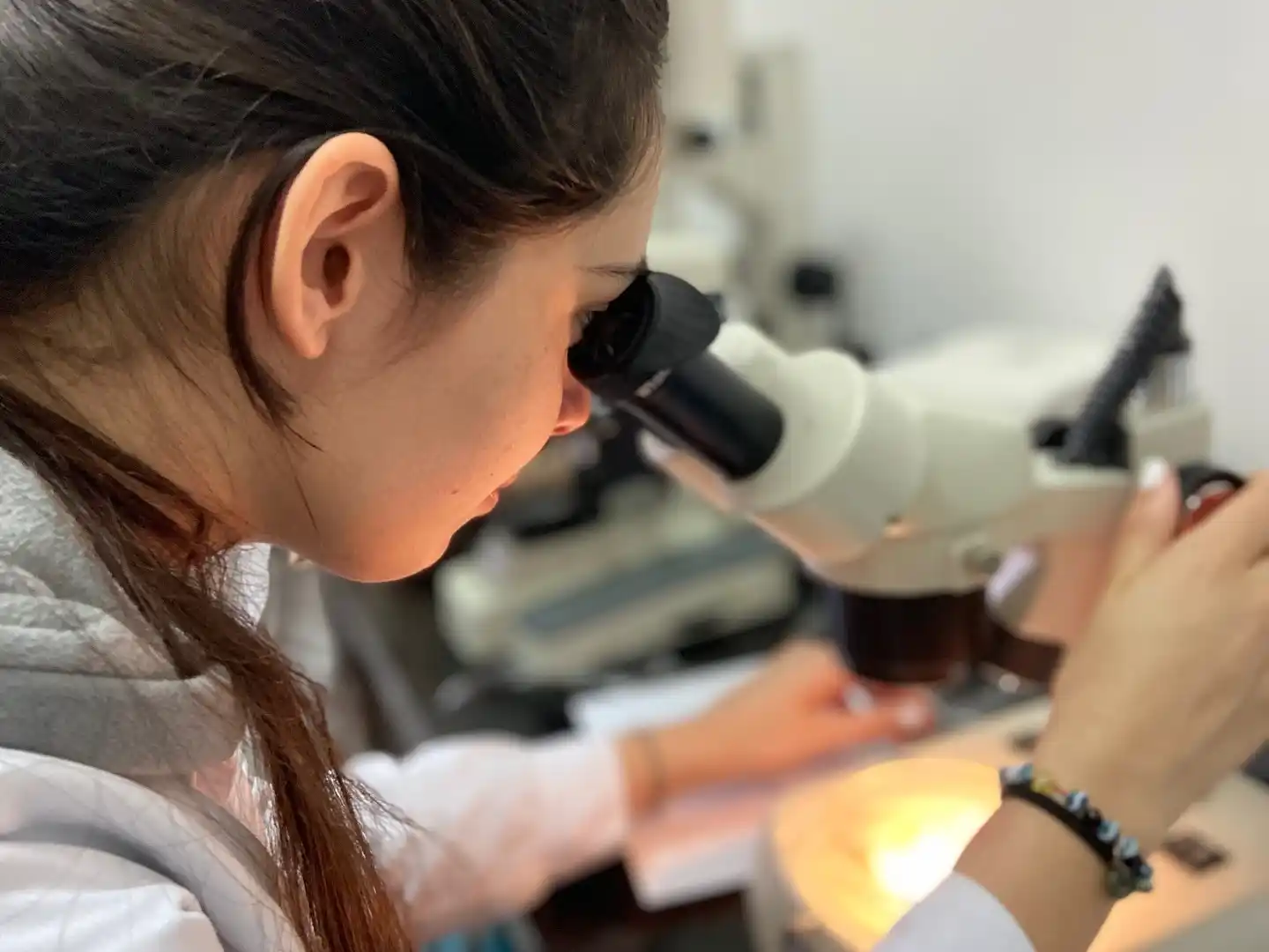 Ciencia local: el INTECH como motor de desarrollo en el Día del Investigador Científico
