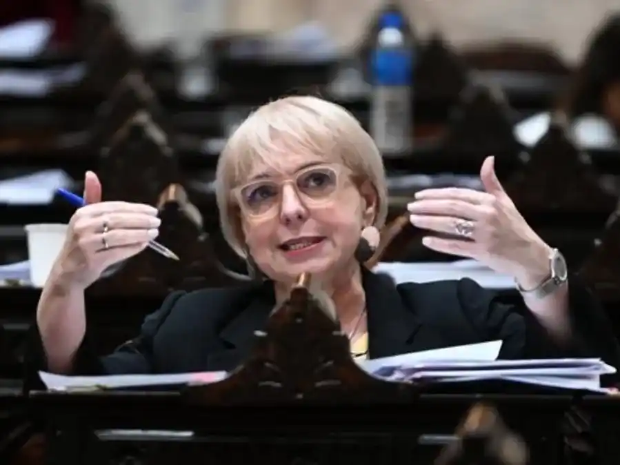 Diputada Silvana Giudici.