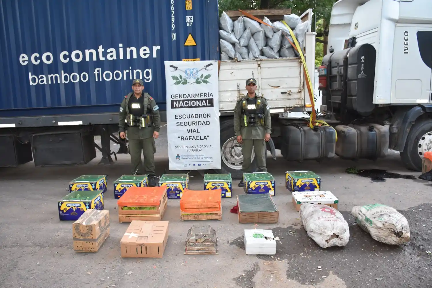 gendarmeria nacional tortugas loros - 2