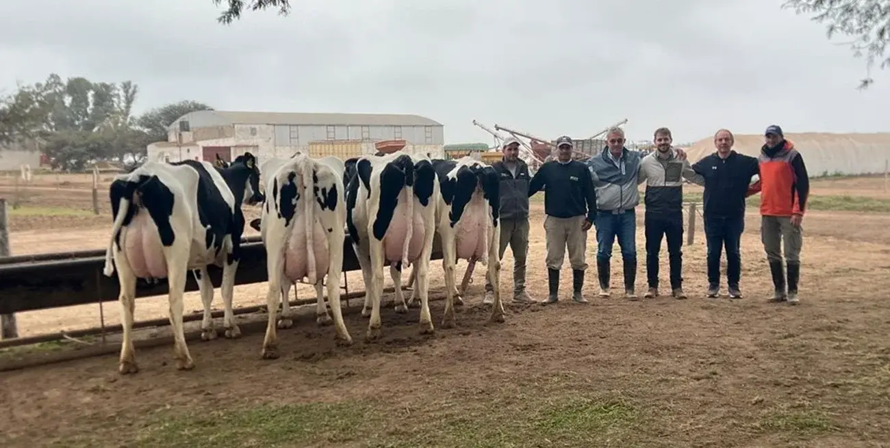 Jura a campo de Holando Argentino: una competencia que reúne a los mejores rodeos del país.