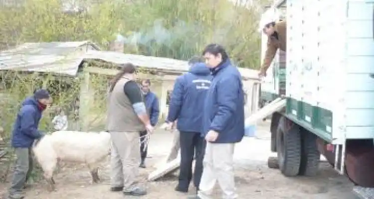 Procedimiento del Ministerio de Asuntos Agrarios