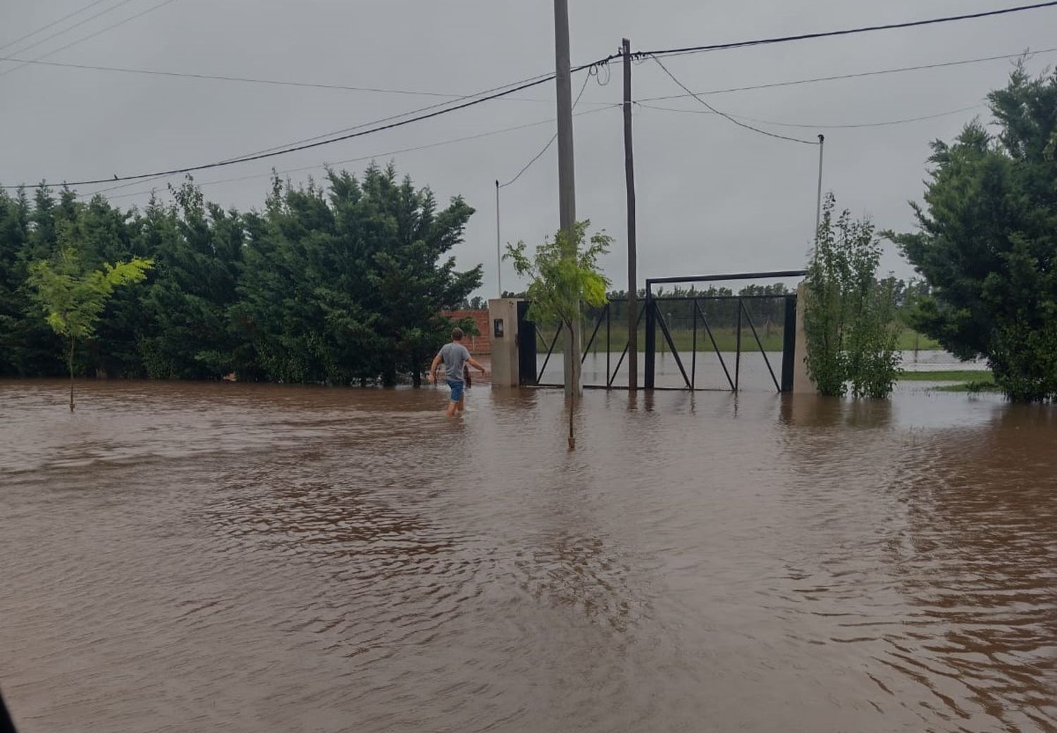 Seba Reportero: algo pasa, el agua no baja