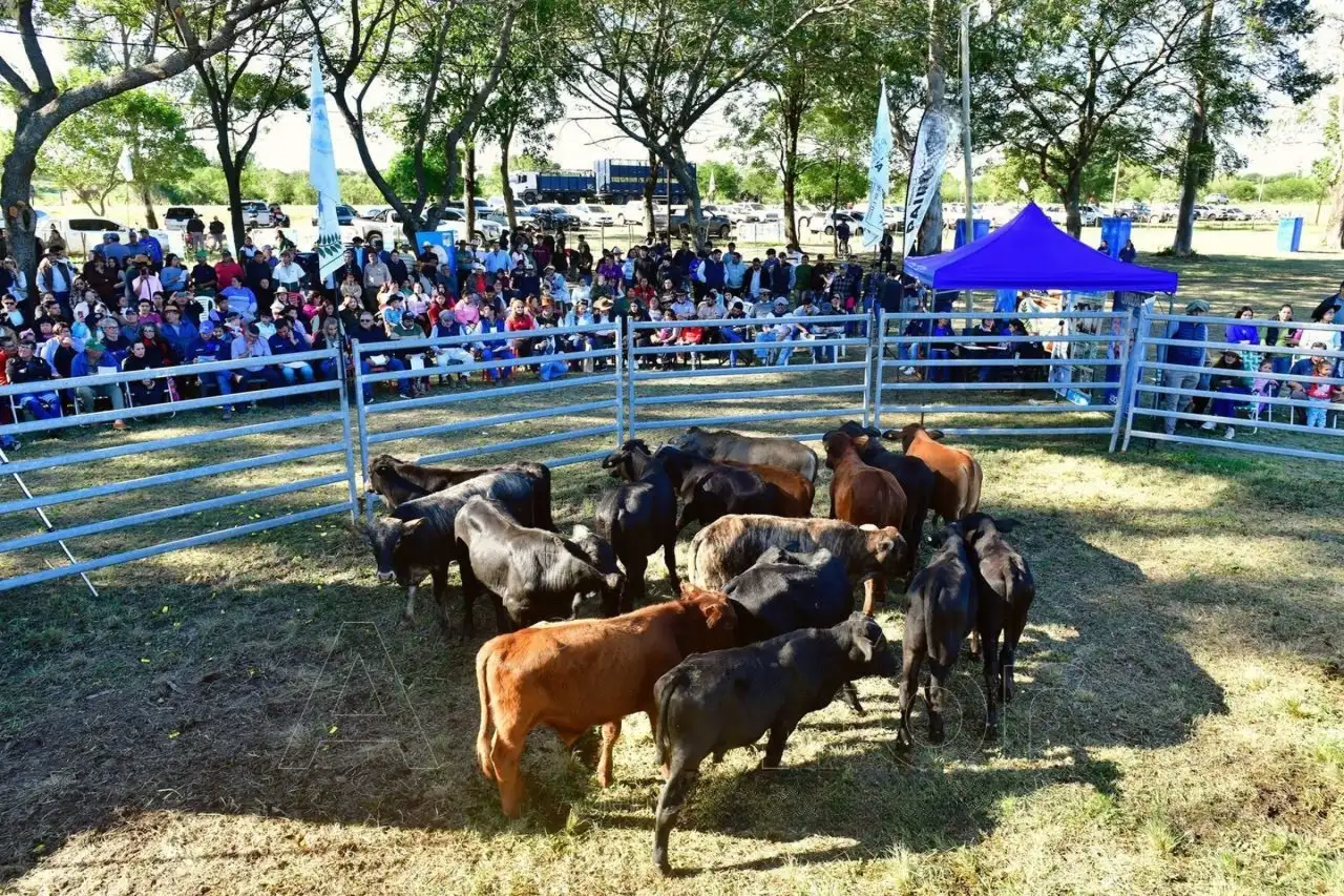Avanza la organización de la 12° Feria Paippera en La Diosa