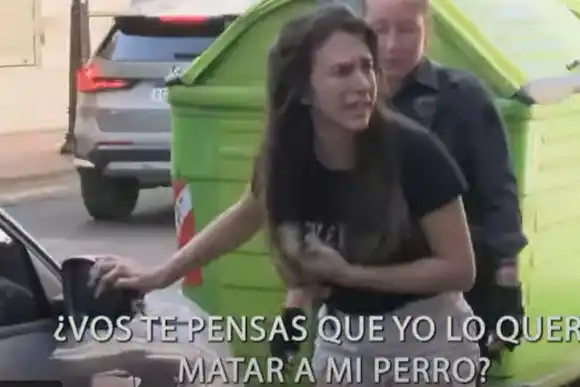 ¿Qué hacer si veo un perro encerrado en un auto como el que murió en Rosario?