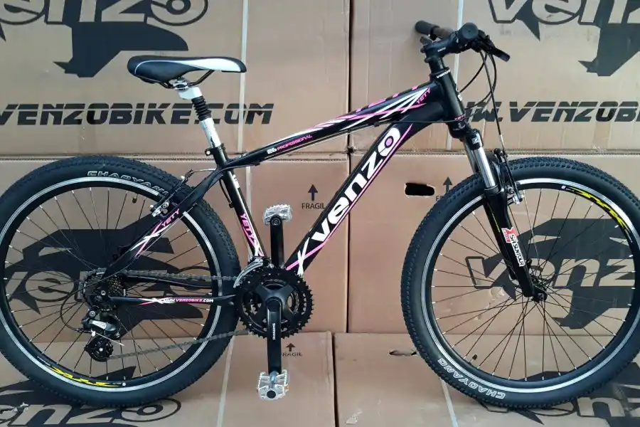 Robó una bicicleta desde el hospital y la dejó abandonada en un comercio