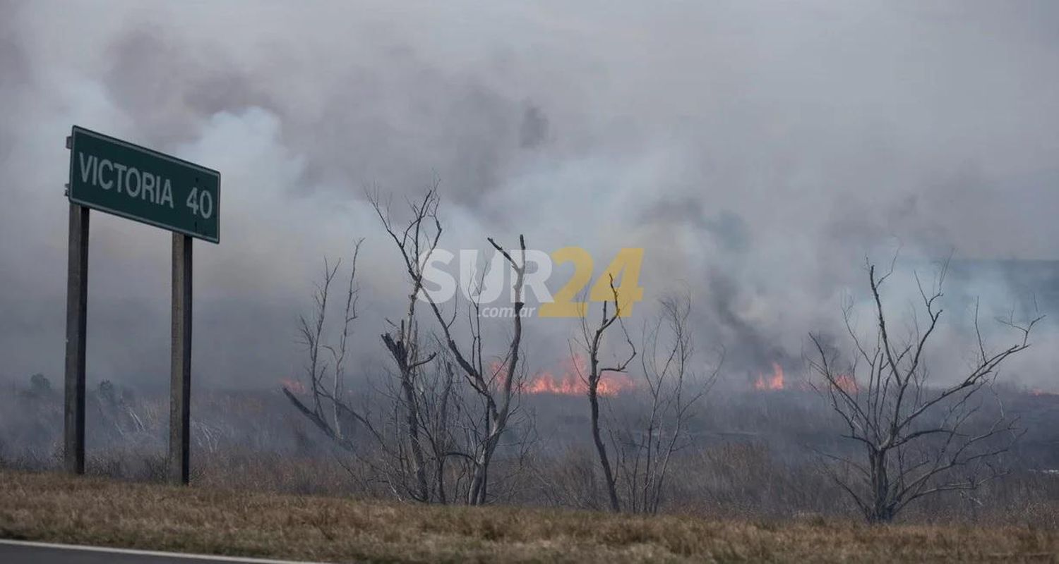 Incendios en el Delta del Paraná: Entre Ríos envió a la Justicia los datos de los propietarios de las islas