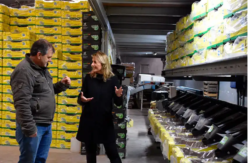 “En Sierra de los Padres se produce el 80% del kiwi nacional que se consume en el país"