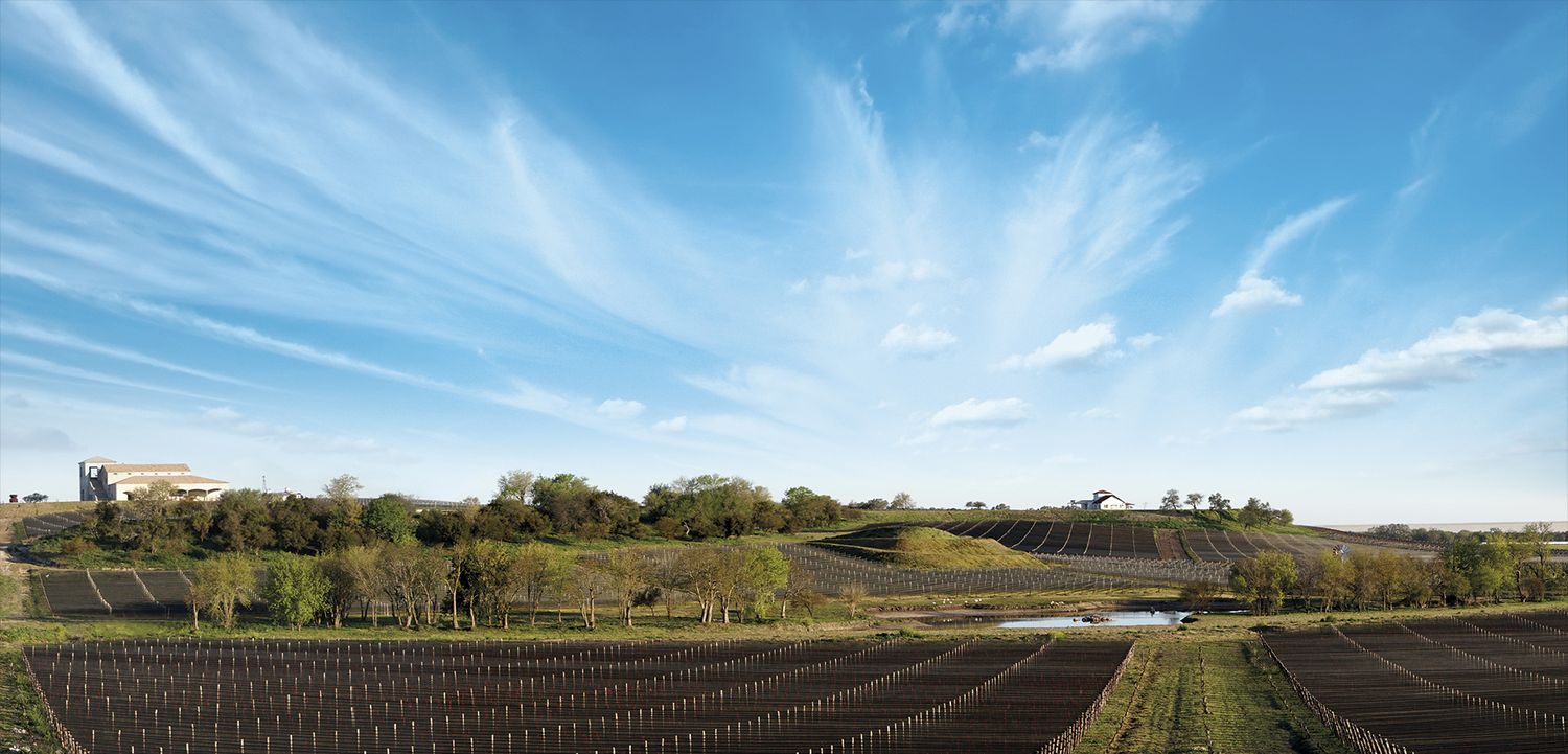 El vino entrerriano crece INV reconoció a Victoria