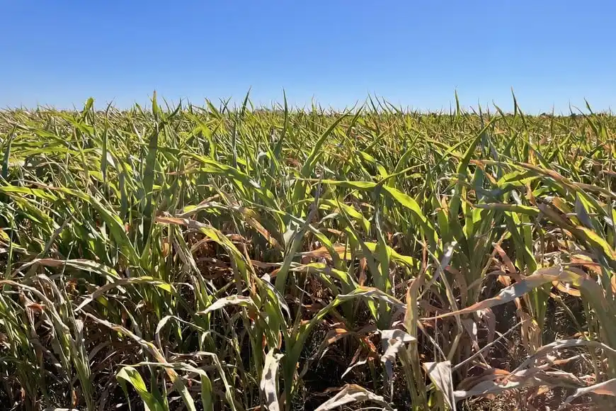 En caso de no cumplir con es disposición, se cobrará la alícuota anterior.