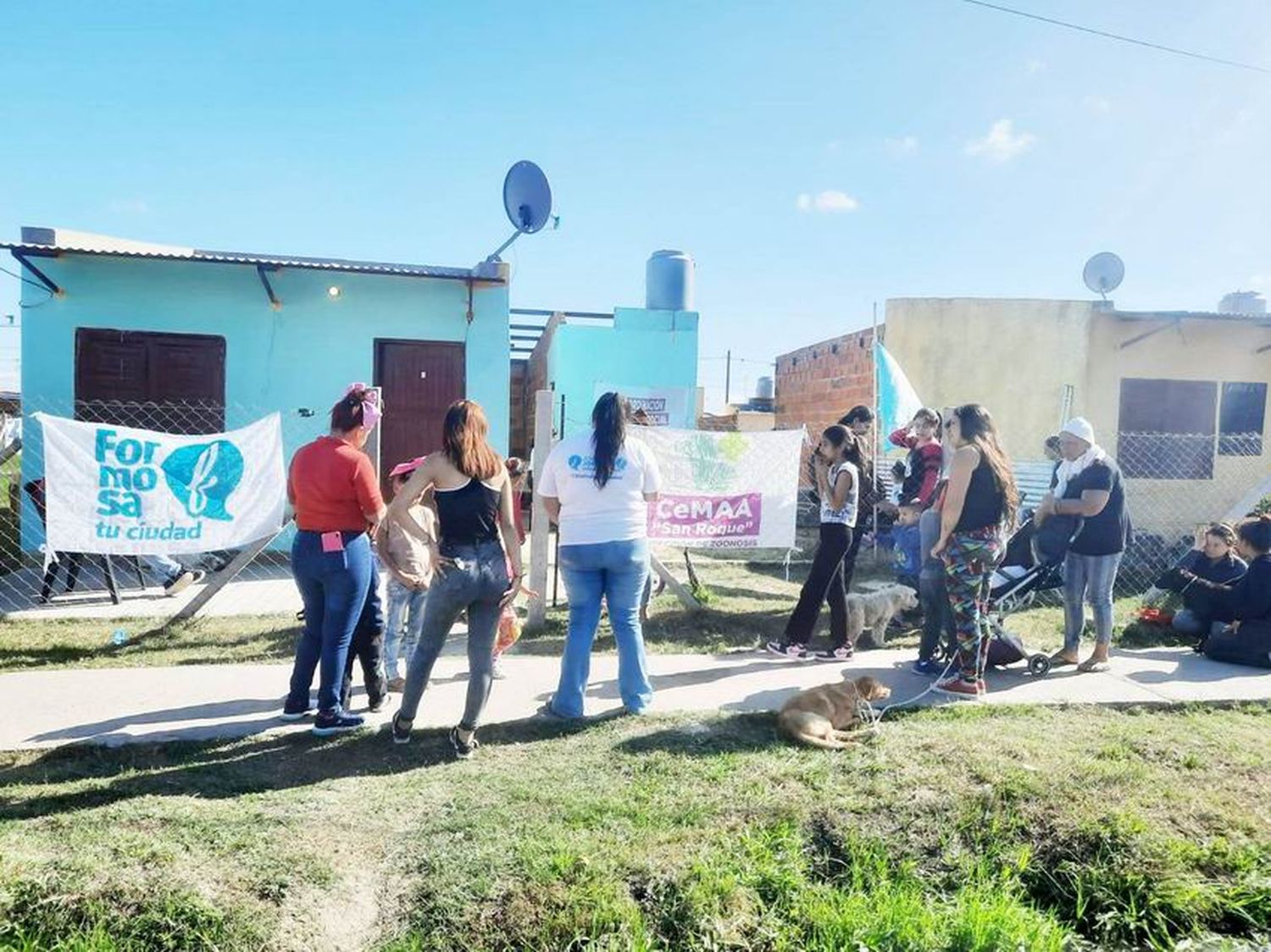 El Municipio lleva a cabo un programa de 
castración por acumulación en los barrios