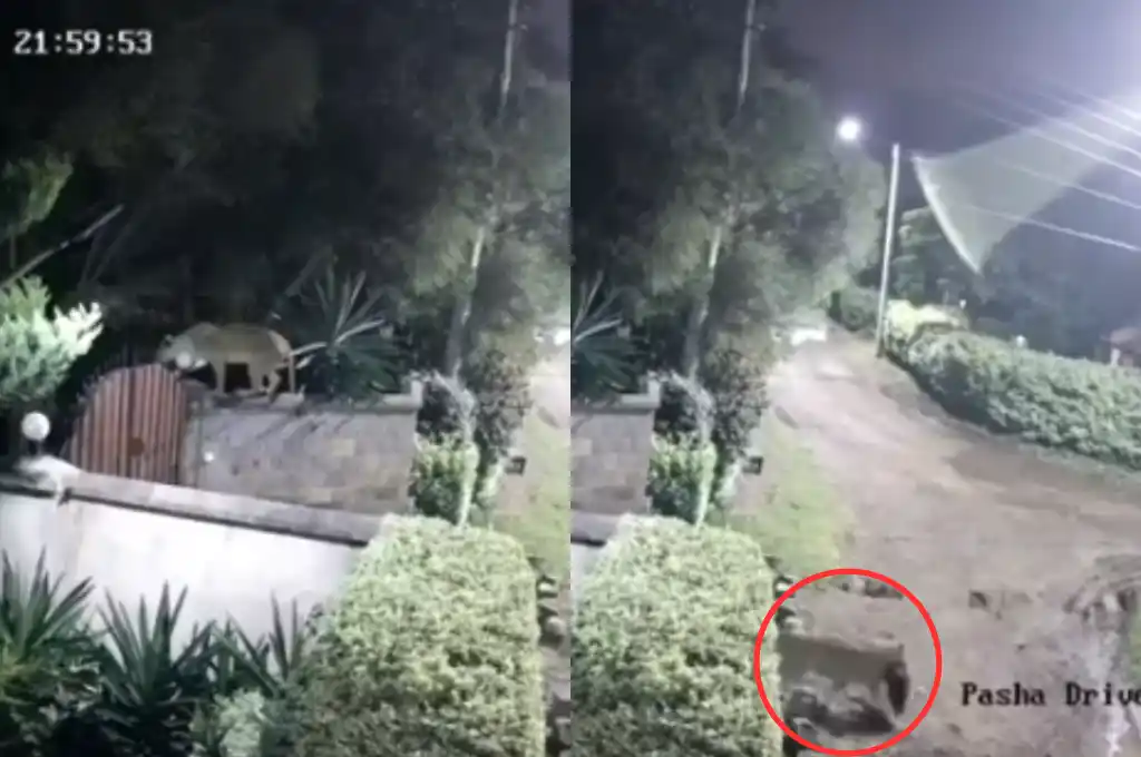 Las autoridades locales han asegurado que están tomando medidas para abordar el problema.