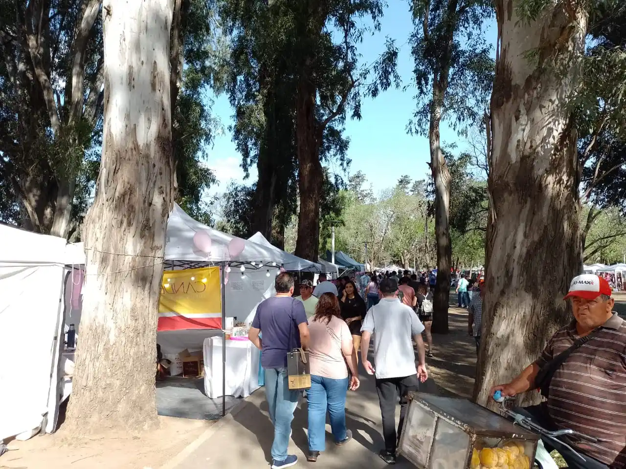 Paseo de la Ciudad
