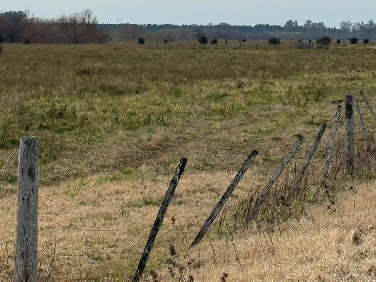 campo de emilio peiró