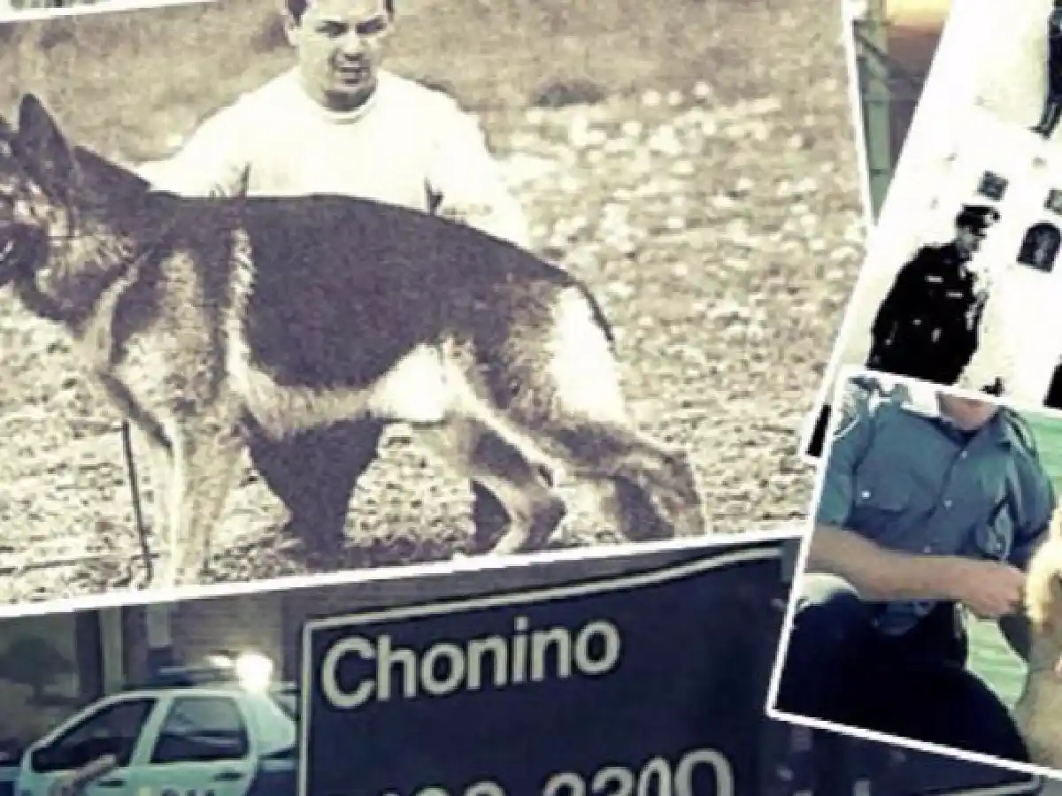 2 de junio: ¿Por qué se celebra el Día Nacional  del Perro?