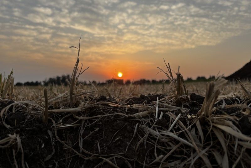 Provincia amplió la emergencia agropecuaria a otras producciones agrícolas perjudicadas por la sequía